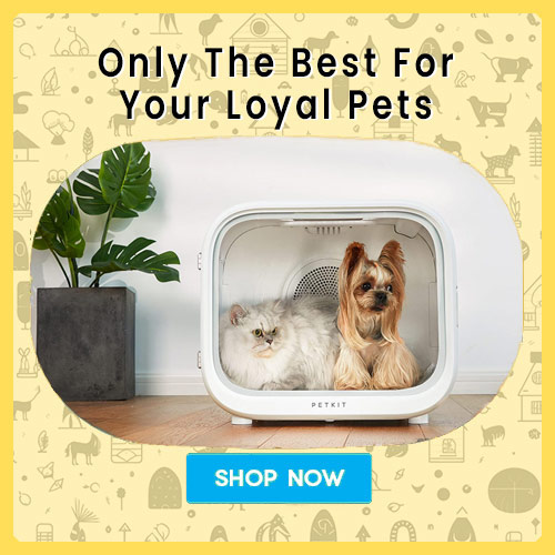 Loyal Pet Supplies mobile